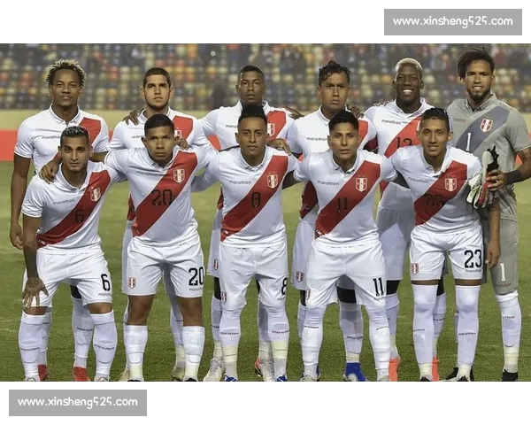 美洲杯历届精彩回顾与球队表现分析